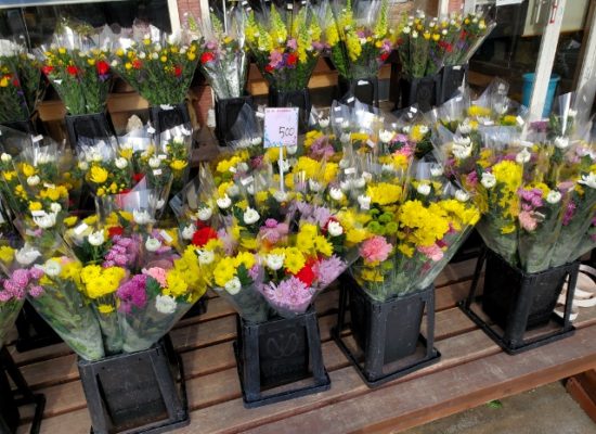 花国恒例-春のお彼岸セール-お得なお花がたくさん！