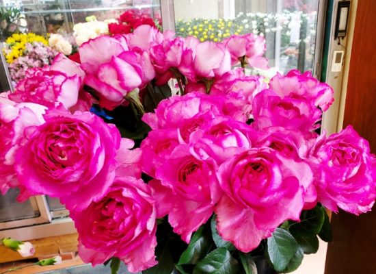 すてきなバラの香りにさそわれて　花国湘南台店お花の日記