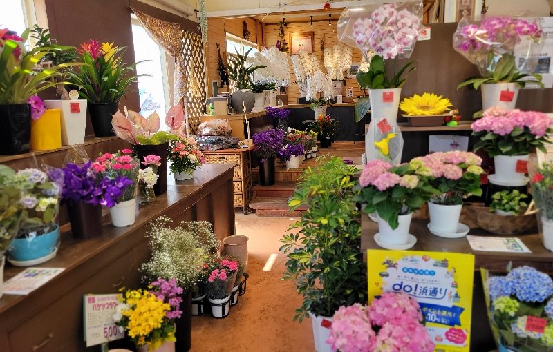 5月3日お店の中がとっても 色づき始めました‐花国湘南台店お花の日記