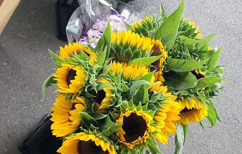 8月29日 今日のお花さんたち−花国湘南台店お花の日記