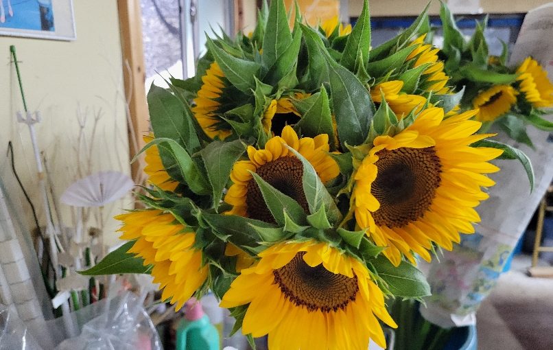 9月8日 笑顔のお花さんたち−花国湘南台店お花の日記