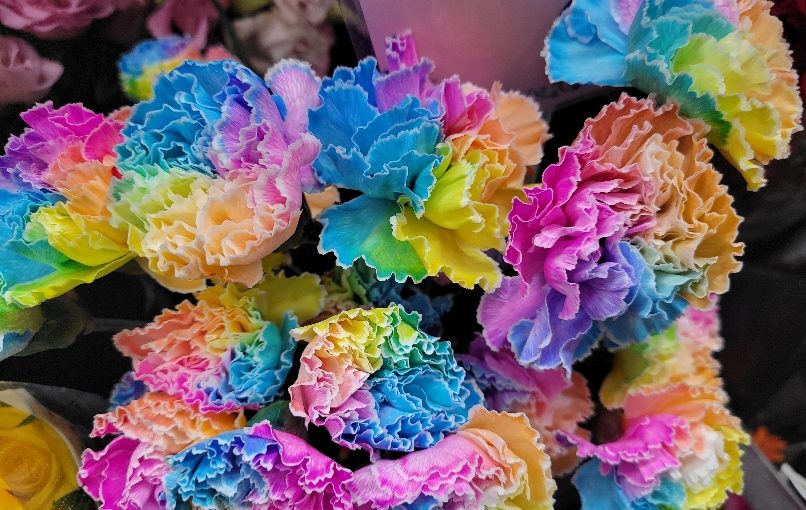 9月13日本日の出番を待ってる お花 さんたち−花国湘南台店お花の日記