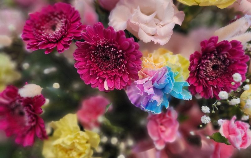 9月13日本日の笑顔のお花さんたち−花国湘南台店お花の日記