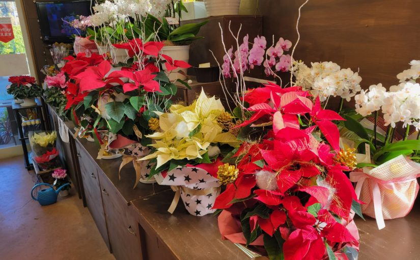 12月6日お花いっぱい わくわく−花国湘南台店お花の日記