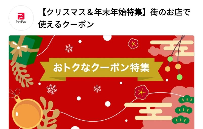 １２月４日シクラメンのお花‐花国湘南台店お花の日記