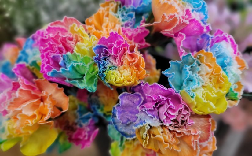 1月8日素敵なお花がたくさん入荷しました‐花国湘南台店お花の日記